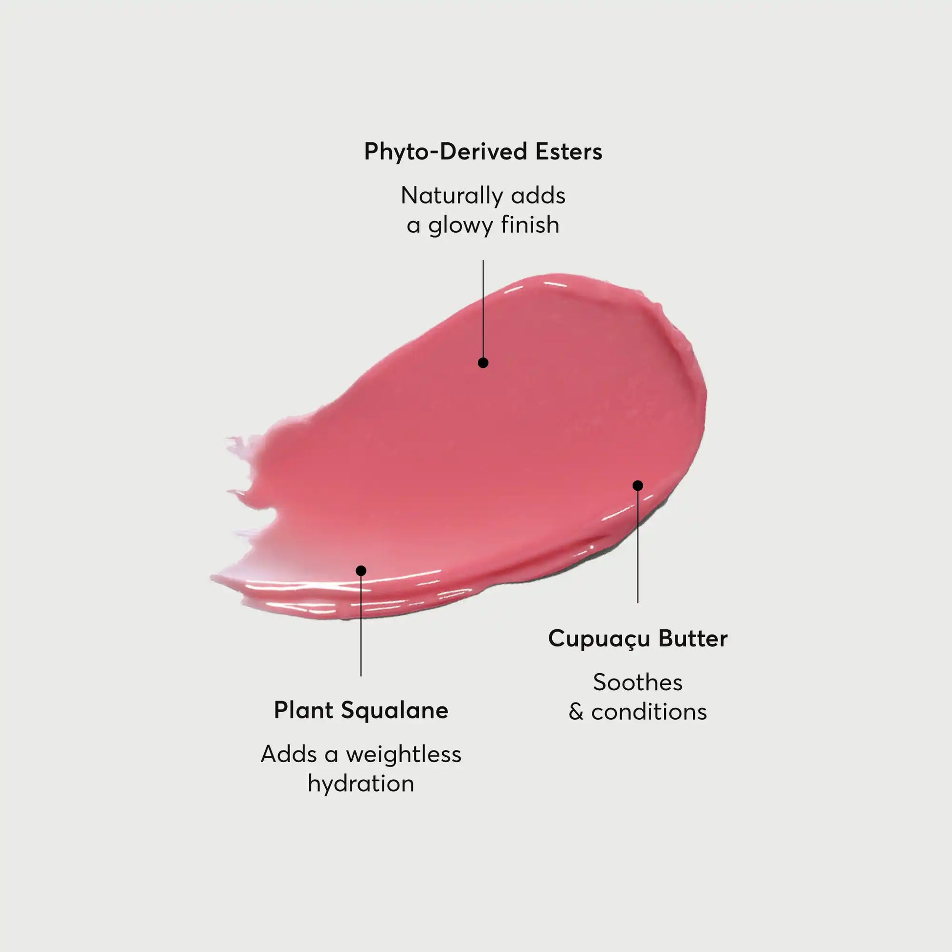 phyto-glow-lip-balm-petal-c1 NATR-60067-Alt-Images-Phyto-Glow-Lip-Balm-Petal-01.webp